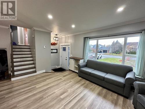 14 Dawe Crescent, Grand Falls-Windsor, NL - Indoor Photo Showing Living Room