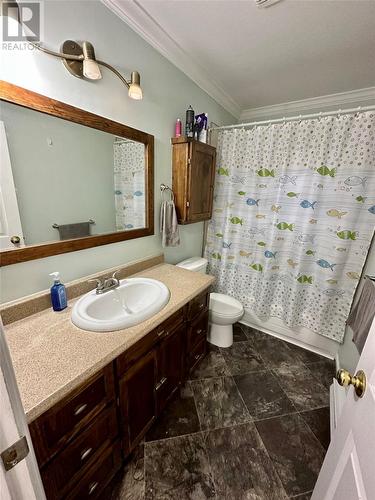 14 Dawe Crescent, Grand Falls-Windsor, NL - Indoor Photo Showing Bathroom