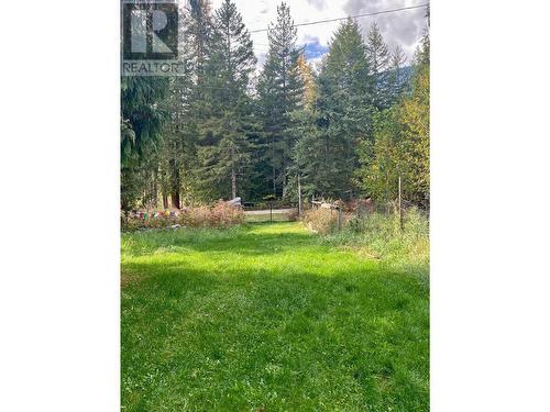 507 Arlington Road, Slocan, BC - Outdoor