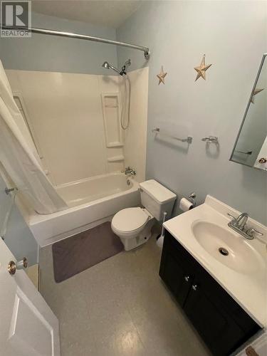 310 Main Street, Milltown, NL - Indoor Photo Showing Bathroom