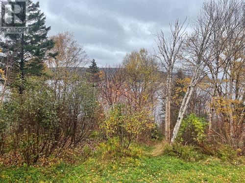 310 Main Street, Milltown, NL - Outdoor With View
