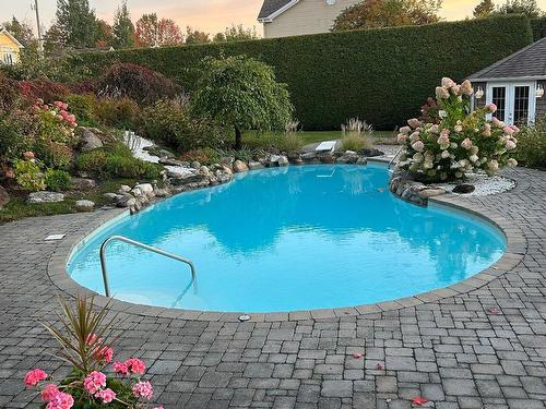 Piscine - 863 Rue Bouhier, Magog, QC - Outdoor With In Ground Pool With Backyard