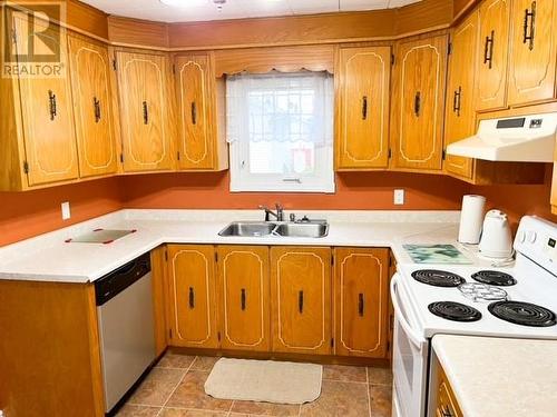11 Sunset Drive, Badger, NL - Indoor Photo Showing Kitchen With Double Sink