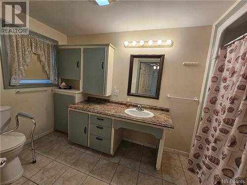 258 Main Street, Plaster Rock, NB - Indoor Photo Showing Bathroom
