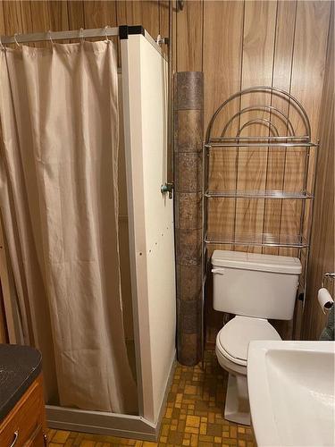 23 Crystal Avenue W, Crystal City, MB - Indoor Photo Showing Bathroom