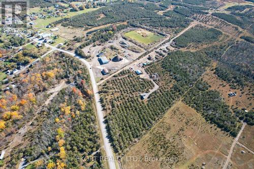 55 County Road 14 Road, Prince Edward County, ON 
