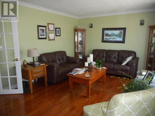 3 Circular Road, Little Bay, NL - Indoor Photo Showing Living Room