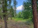 Lot B Grasmere-Dorr Road, Grasmere, BC 