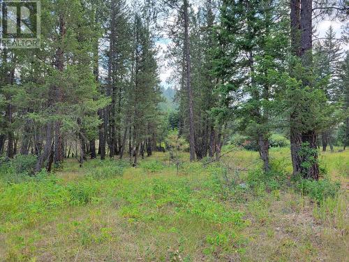 Lot B Grasmere-Dorr Road, Grasmere, BC 