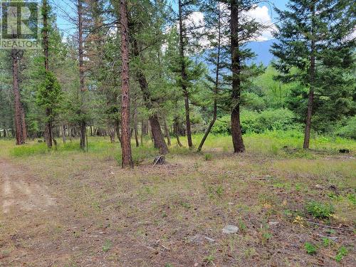 Lot B Grasmere-Dorr Road, Grasmere, BC 