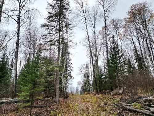 Overall view - Ch. Des Cantonniers S., Saint-Michel-Des-Saints, QC 