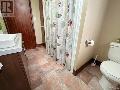 218 Canada Street, Saint-Quentin, NB - Indoor Photo Showing Bathroom