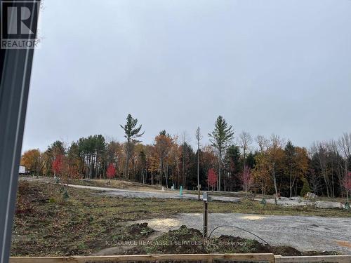 Lkr052 - 1047 Bonnie Lake Camp Route, Bracebridge, ON - Outdoor With View