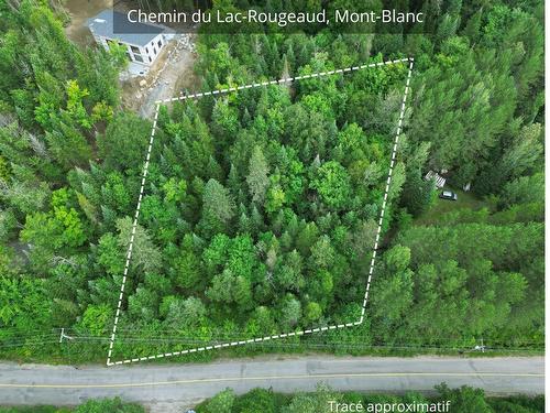 Land/Lot - Ch. Du Lac-Rougeaud, Mont-Blanc, QC 