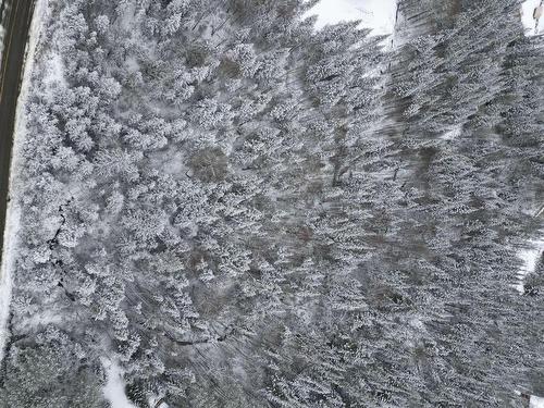 Land/Lot - Ch. Du Lac-Rougeaud, Mont-Blanc, QC 