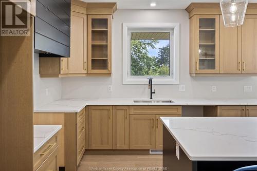 113 Bear Street, Essex, ON - Indoor Photo Showing Kitchen With Double Sink