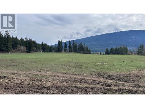 4210 White Lake Road, Tappen, BC - Outdoor With View