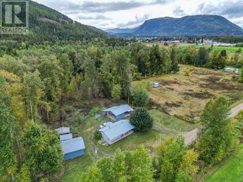 1500 Stadnicki Road, Sicamous, BC - Outdoor With View