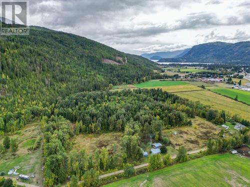 1500 Stadnicki Road, Sicamous, BC - Outdoor With View