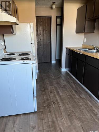 445 12Th Street E, Prince Albert, SK - Indoor Photo Showing Kitchen With Double Sink