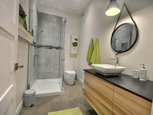Bathroom - 243 Ch. Du Rocher, Piedmont, QC - Indoor Photo Showing Bathroom