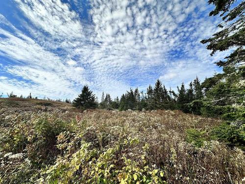 Lot Gammon Road, West Quoddy, NS 