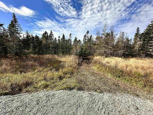 Lot Gammon Road, West Quoddy, NS 