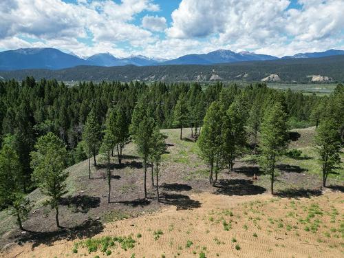 Lot 11 Saddlewood Lane, Radium Hot Springs, BC 