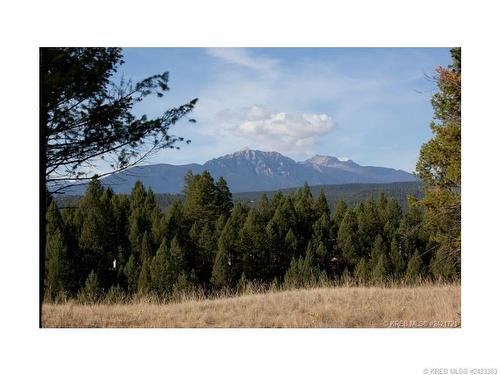 Lot 11 Saddlewood Lane, Radium Hot Springs, BC 