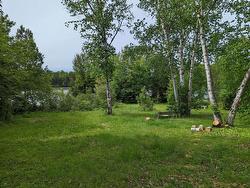 Land/Lot - 