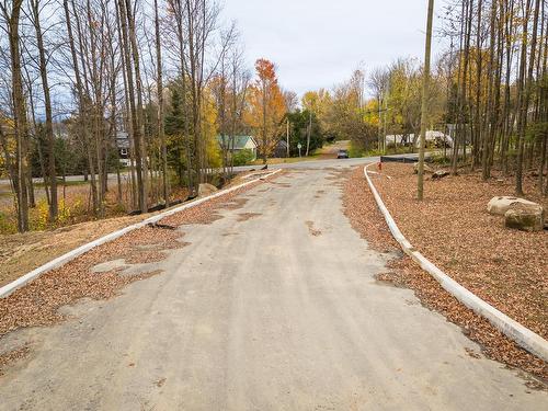 Overall view - Rue Des Peupliers, Lac-Brome, QC 