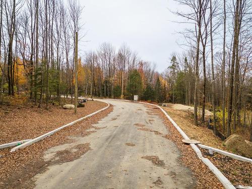 Street - Rue Des Peupliers, Lac-Brome, QC 