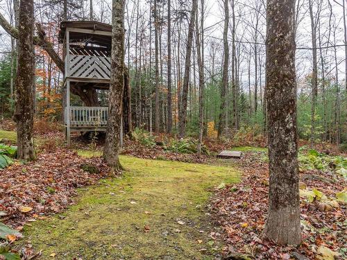 Wooded area - 2856  - 2860 Rue Duquette, Magog, QC - Outdoor
