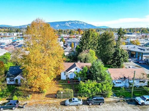 438 Festubert St, Duncan, BC - Outdoor With View