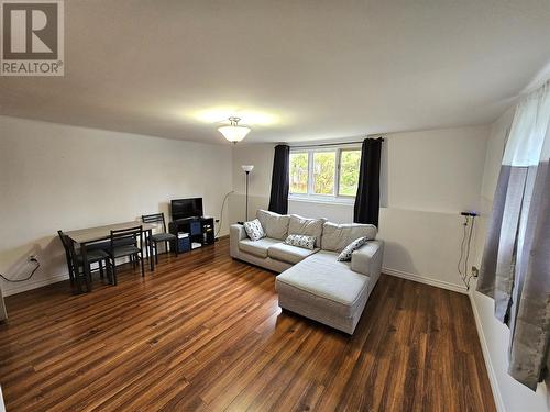 4 Coles Avenue, Steady Brook, NL - Indoor Photo Showing Living Room