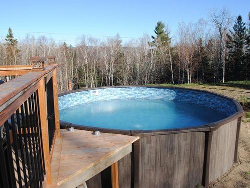 Pool - 580 Rg St-Charles, La Malbaie, QC - Outdoor With Above Ground Pool