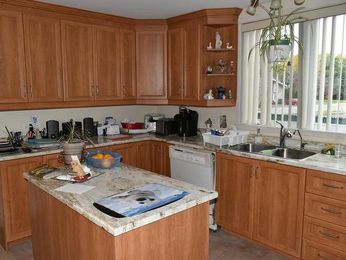 Kitchen - 390 Rue St-Louis, Saint-Cyrille-De-Wendover, QC - Indoor Photo Showing Kitchen With Double Sink