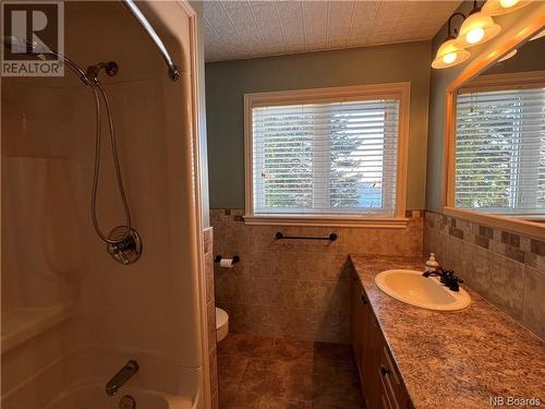 824 Harley Hill Street, Grand Falls, NB - Indoor Photo Showing Bathroom