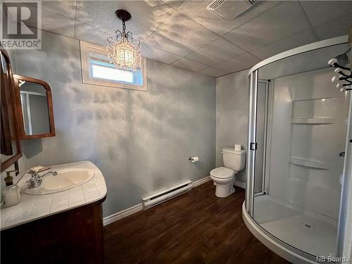 824 Harley Hill Street, Grand Falls, NB - Indoor Photo Showing Bathroom