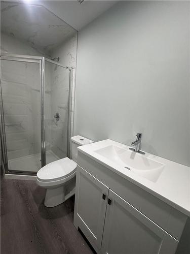 Basement Bathroom - 166 Mount Albion Road|Unit #1, Hamilton, ON - Indoor Photo Showing Bathroom