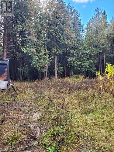 Cleared open spaces - Pt Lot 88 Highway 10, West Grey, ON 