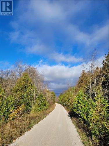 Rail trail at the back boundary of property - Pt Lot 88 Highway 10, West Grey, ON 