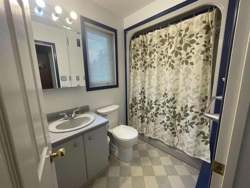 14 Sandy Beach Mews, Dryden, ON - Indoor Photo Showing Bathroom