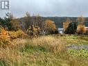 6 Diagonal Road, Baie Verte, NL 
