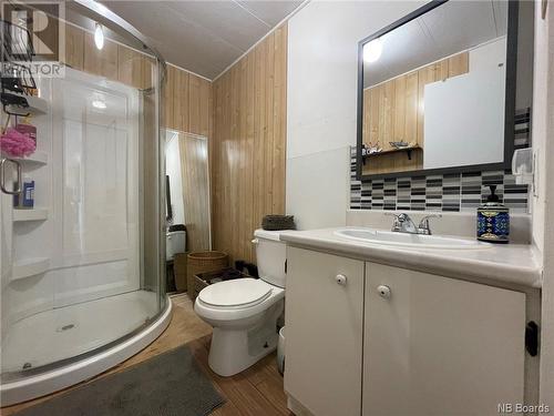 336 Maclaggan Drive, Blackville, NB - Indoor Photo Showing Bathroom