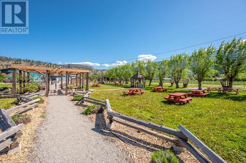 7952 Hwy 97, Oliver, BC - Outdoor With View