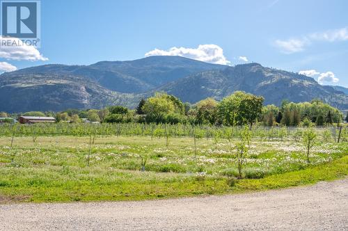 7952 Hwy 97, Oliver, BC - Outdoor With View