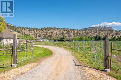 7952 Hwy 97, Oliver, BC - Outdoor With View