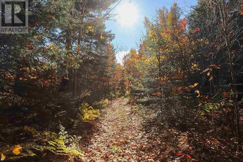 Lot 17 Nokomis Beach Rd, Sault Ste. Marie, ON 