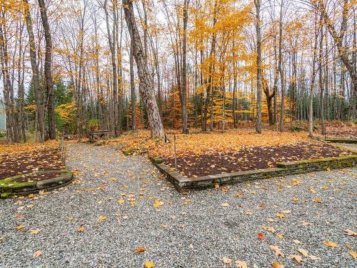 Wooded area - 2856Z  - 2860Z Rue Duquette, Magog, QC - Outdoor